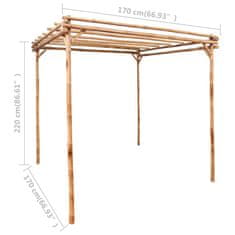 Petromila vidaXL Pergola 170x170x220 cm bambusová