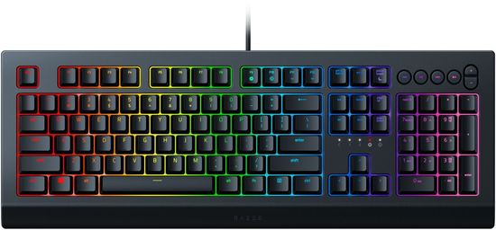 Razer Cynosa V2 (RZ03-03400100-R3M1)