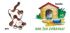 Kde žijú zvieratká?