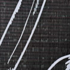 Petromila vidaXL Skladací paraván 160x170 cm, potlač s pierkami, čierno-biely