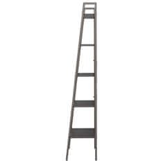 Vidaxl 5-poschodová rebríková polica čierna 56x35x174 cm