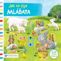 Ag Jatkowska: Mláďata - Jak to žije