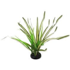 REPTI PLANET Rostlina travina Spartina 30 cm 1 ks