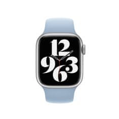 Apple Watch Acc/45/Sky Sport Band