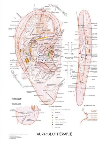 MH Star Aurikuloterapia - plagát