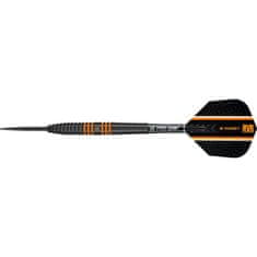 Target Šípky steel Raymond van Barneveld 24g, 80% wolfram RVB, čierne