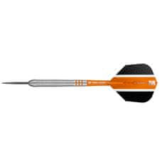 Target Šípky steel Raymond van Barneveld 25g, 80% wolfram RVB