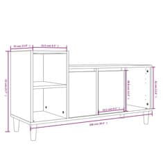 Vidaxl TV skrinka čierna 100x35x55 cm spracované drevo