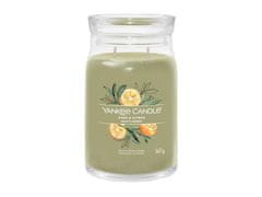 YANKEE CANDLE Sage &amp; Citrus svíčka 567g / 5 knotů (Signature velký)