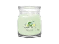 YANKEE CANDLE Cucumber Mint Cooler svíčka 368g / 2 knoty (Signature střední)