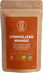 BrainMax Lyofilizované mango, BIO, 45 g