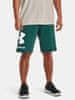 Kraťasy UA Rival Flc Big Logo Shorts-GRN S