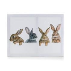 HOME DECOR Obraz 4x RABBIT 40 x 30 x 2 cm