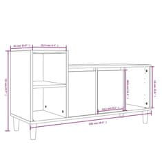 Vidaxl TV skrinka biela 100x35x55 cm spracované drevo