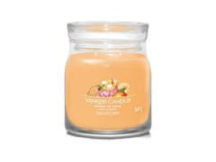 YANKEE CANDLE Mango Ice Cream svíčka 368g / 2 knoty (Signature střední)