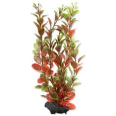 Tetra Rostlina Red Ludwigia M - KARTON (36ks) 1 ks