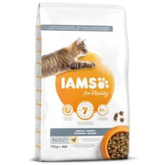 IAMS IAMS Cat Adult Indoor Chicken 10 kg