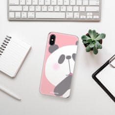 iSaprio Silikónové puzdro - Panda 01 pre Apple iPhone X