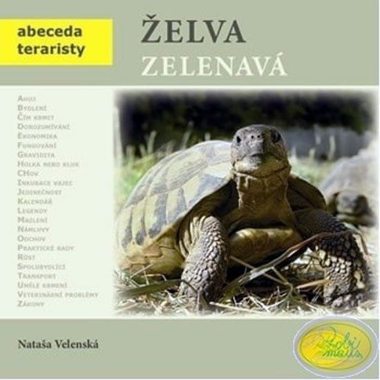 Robimaus Korytnačka zelenavá - Abeceda teraristy