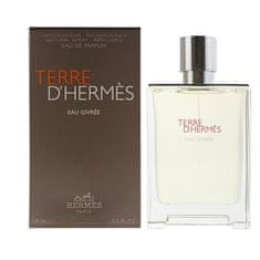 Hermès Terre d`Hermès Eau Givrée - EDP (plnitelná) 50 ml