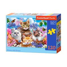 KIK Castorland Puzzle Mačiatka v kvetináčoch 120