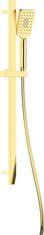 Deante Alpinia gold sprchový set, 3-funkčný, s posuvnou tyčou (NGA_Z52K)
