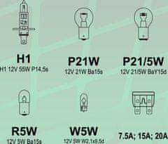 Compass Žiarovky servisný box univerzálny H1 GREEN