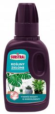 Substral Hnojivo pre paprade a zelené rastliny s humusom 250 ml