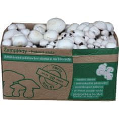 PLANTO Sada na pestovanie Šampiňón biely 10kg (Agaricus Bisporus) PO-10KG-ZB