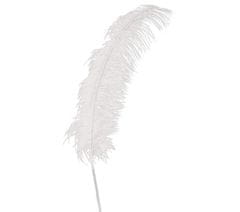 Guirca Dekoračné biele perie 50cm 12ks
