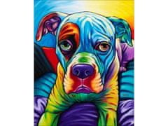 shumee OBRAZ MAĽOVANIE PODĽA ČÍSEL RÁM 40x50cm BULLDOG - PES VO FARBE