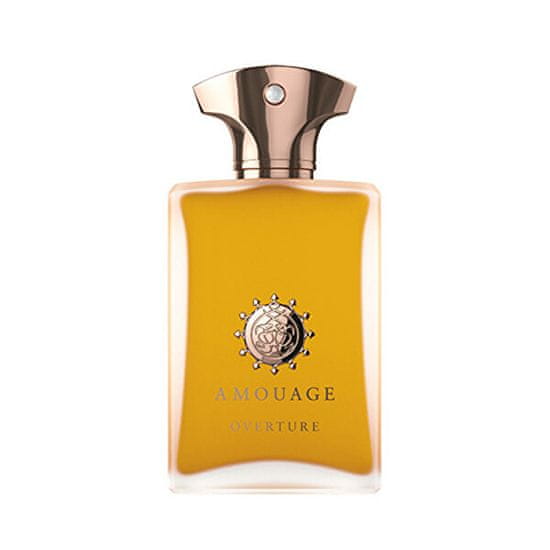 Amouage Overture Man - EDP