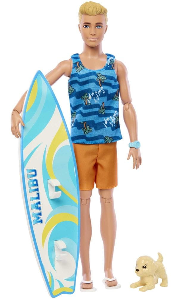 Mattel Barbie Ken surfer s doplnkami HPT50