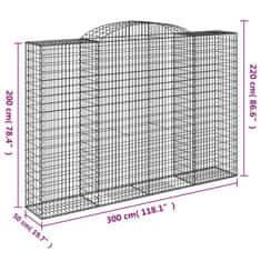 Petromila vidaXL Oblúkové gabionové koše 2ks 300x50x200/220cm pozinkované železo