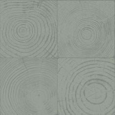 Zelená vliesová tapeta imitacia dreva s letokruhmi 347547, Matières - Wood, 0,53 x 10,05 m