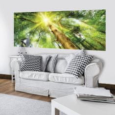 Vliesová obrazová tapeta Slnko v korunách stromov 44111, 250 x 104 cm, Photomurals