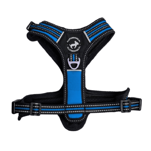 ALL FOR DOGS Postroj 3x-Sport Blue Xs