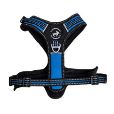 ALL FOR DOGS Postroj 3x-Sport Blue M