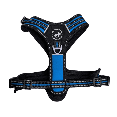 ALL FOR DOGS Postroj 3x-Sport Blue M