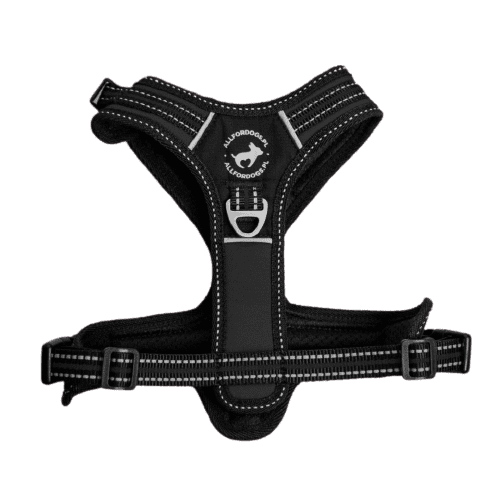 ALL FOR DOGS Postroj 3x-Sport Black L