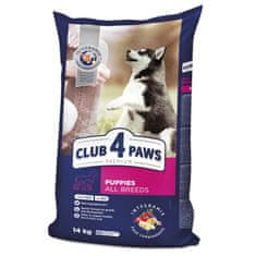 CLUB 4 PAWS PREMIUM Pre Steňatá Všetkých Plemien 14KG.s Vysokým Obsahom Kurča.Kompletné Suché Krmivo.