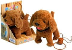 Lean-toys Interaktívny pes Pes na vodítku Hnedý pudel