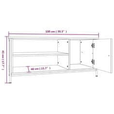 Vidaxl TV skrinka dub sonoma 100x40x45 cm spracované drevo