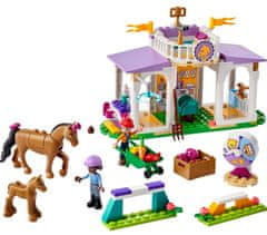 LEGO Friends 41746 Výcvik koní