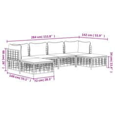 Petromila vidaXL 6-dielna záhradná sedacia sada s vankúšmi antracitová polyratan