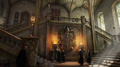 Warner Bros Hogwarts Legacy (PS5)