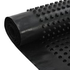 Vidaxl Jamkované drenážne fólie 1x20 m HDPE 400 g/m²