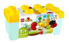 KECJA Lego DUPLO 10984 Pestovateľská záhrada