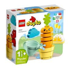 KECJA Lego DUPLO 10981 Pestovanie mrkvy