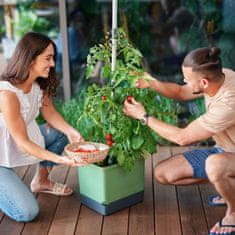 GUSTA GARDEN Hydroponický Květináč pre Rýchlo Rastúce Paradajky - TOM TOMATO